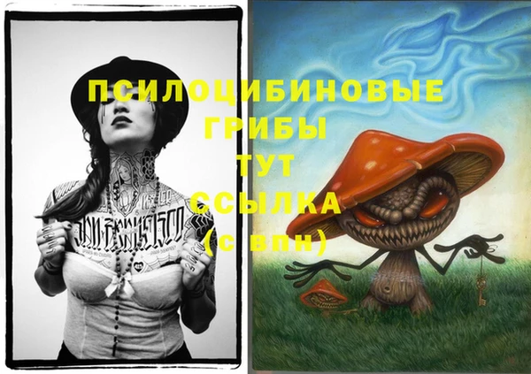 ALPHA-PVP Нягань