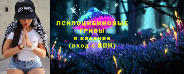 ECSTASY Няндома
