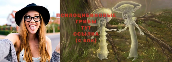 ECSTASY Няндома