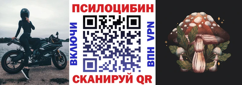 купить наркоту  Алапаевск  Псилоцибиновые грибы прущие грибы 