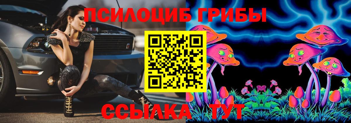 Галлюциногенные грибы Psilocybine cubensis  Псилоцибиновые грибы мухоморы  Алапаевск 